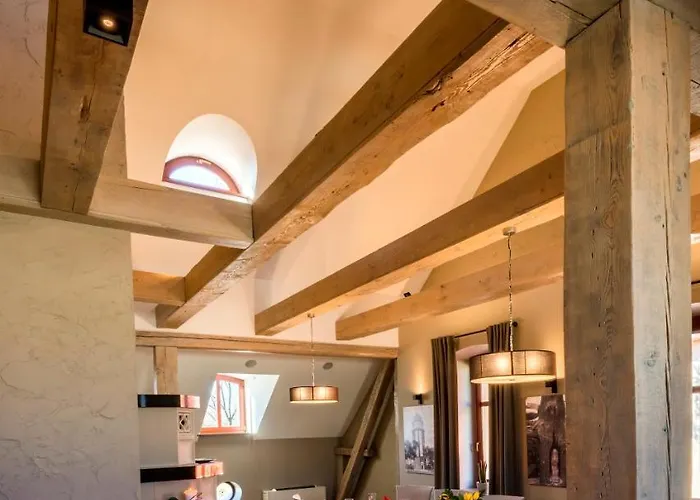 酒店 德沃雷克1885酒店 3*